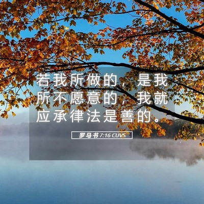 Picture 05 - 罗 马 书 7:16 CUVS - 若 我 所 做 的 ， 是 我 所 不 愿 意 - Bible Verse Picture