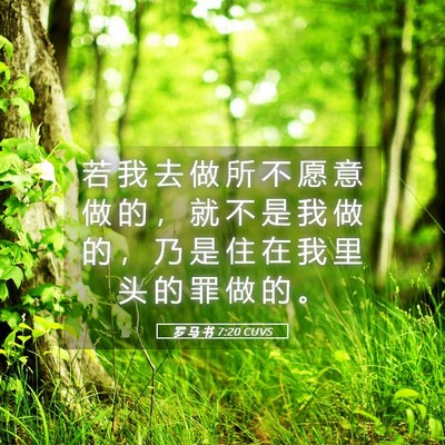 Picture 05 - 罗 马 书 7:20 CUVS - 若 我 去 做 所 不 愿 意 做 的 ， 就 - Bible Verse Picture
