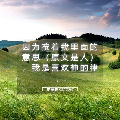 Picture 05 - 罗 马 书 7:22 CUVS - 因 为 按 着 我 里 面 的 意 思 （ 原 - Bible Verse Picture
