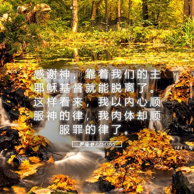 Picture 05 - 罗 马 书 7:25 CUVS - 感 谢 神 ， 靠 着 我 们 的 主 耶 稣 - Bible Verse Picture