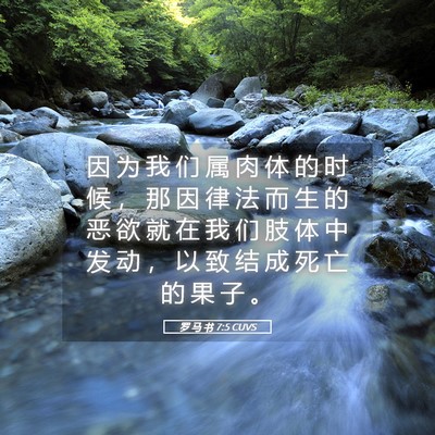 Picture 05 - 罗 马 书 7:5 CUVS - 因 为 我 们 属 肉 体 的 时 候 ， 那 - Bible Verse Picture