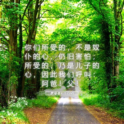 Picture 05 - 罗 马 书 8:15 CUVS - 你 们 所 受 的 ， 不 是 奴 仆 的 心 - Bible Verse Picture