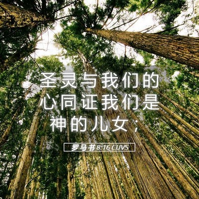 Picture 05 - 罗 马 书 8:16 CUVS - 圣 灵 与 我 们 的 心 同 证 我 们 是 - Bible Verse Picture