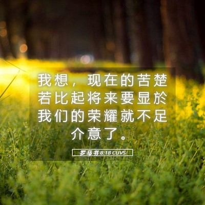 Picture 05 - 罗 马 书 8:18 CUVS - 我 想 ， 现 在 的 苦 楚 若 比 起 将 - Bible Verse Picture