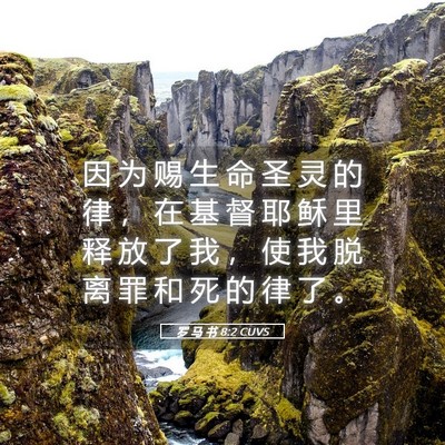 Picture 05 - 罗 马 书 8:2 CUVS - 因 为 赐 生 命 圣 灵 的 律 ， 在 基 - Bible Verse Picture