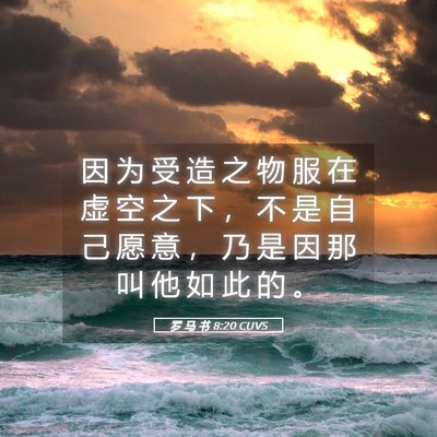 Picture 05 - 罗 马 书 8:20 CUVS - 因 为 受 造 之 物 服 在 虚 空 之 下 - Bible Verse Picture