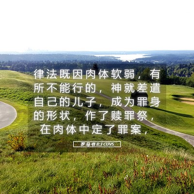 Picture 05 - 罗 马 书 8:3 CUVS - 律 法 既 因 肉 体 软 弱 ， 有 所 不 - Bible Verse Picture