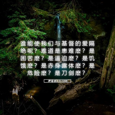 Picture 05 - 罗 马 书 8:35 CUVS - 谁 能 使 我 们 与 基 督 的 爱 隔 绝 - Bible Verse Picture