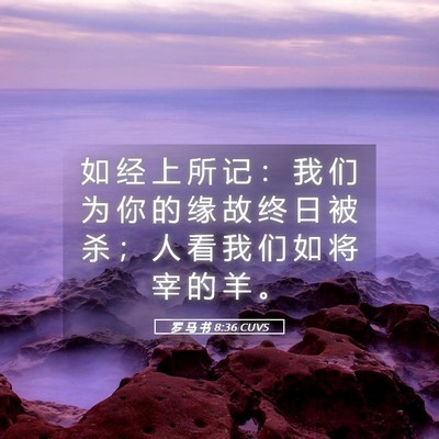 Picture 05 - 罗 马 书 8:36 CUVS - 如 经 上 所 记 ： 我 们 为 你 的 缘 - Bible Verse Picture