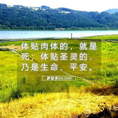 Picture 05 - 罗 马 书 8:6 CUVS - 体 贴 肉 体 的 ， 就 是 死 ； 体 贴 - Bible Verse Picture