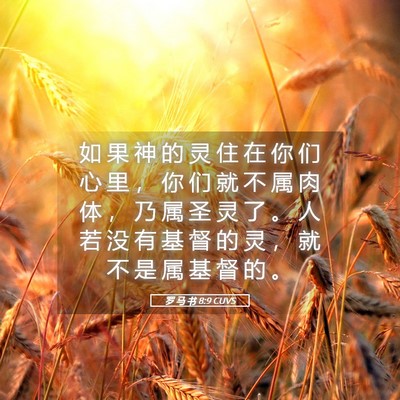 Picture 05 - 罗 马 书 8:9 CUVS - 如 果 神 的 灵 住 在 你 们 心 里 ， - Bible Verse Picture