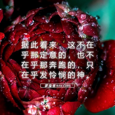 Picture 05 - 罗 马 书 9:16 CUVS - 据 此 看 来 ， 这 不 在 乎 那 定 意 - Bible Verse Picture