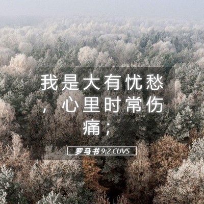 Picture 05 - 罗 马 书 9:2 CUVS - 我 是 大 有 忧 愁 ， 心 里 时 常 伤 - Bible Verse Picture
