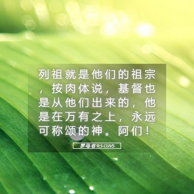 Picture 05 - 罗 马 书 9:5 CUVS - 列 祖 就 是 他 们 的 祖 宗 ， 按 肉 - Bible Verse Picture