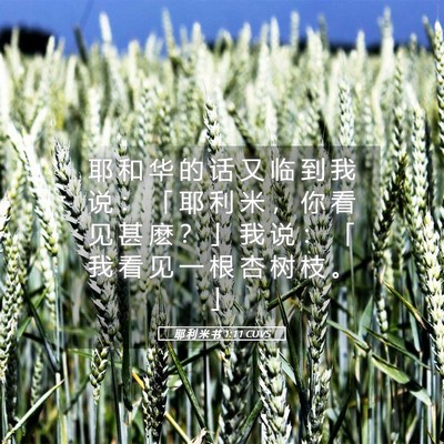 Picture 05 - 耶 利 米 书 1:11 CUVS - 耶 和 华 的 话 又 临 到 我 说 ： 「 - Bible Verse Picture