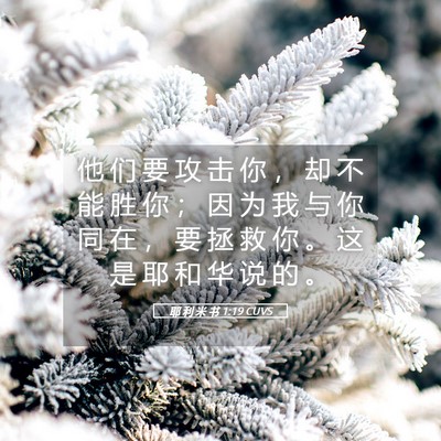 Picture 05 - 耶 利 米 书 1:19 CUVS - 他 们 要 攻 击 你 ， 却 不 能 胜 你 - Bible Verse Picture