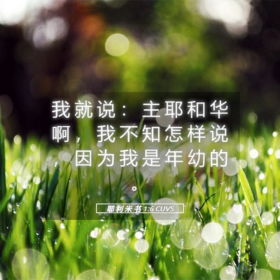 Picture 05 - 耶 利 米 书 1:6 CUVS - 我 就 说 ： 主 耶 和 华 啊 ， 我 不 - Bible Verse Picture