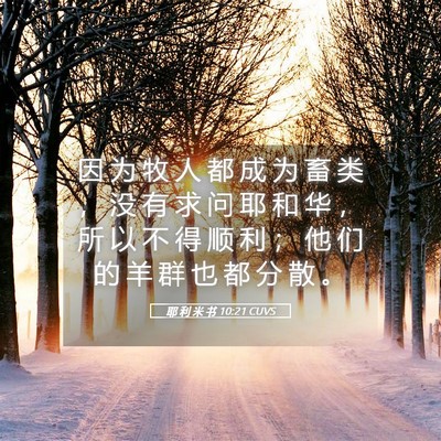Picture 05 - 耶 利 米 书 10:21 CUVS - 因 为 牧 人 都 成 为 畜 类 ， 没 有 - Bible Verse Picture