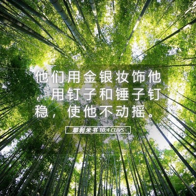 Picture 05 - 耶 利 米 书 10:4 CUVS - 他 们 用 金 银 妆 饰 他 ， 用 钉 子 - Bible Verse Picture
