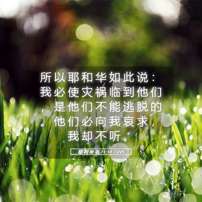 Picture 05 - 耶 利 米 书 11:11 CUVS - 所 以 耶 和 华 如 此 说 ： 我 必 使 - Bible Verse Picture