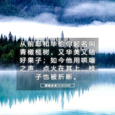Picture 05 - 耶 利 米 书 11:16 CUVS - 从 前 耶 和 华 给 你 起 名 叫 青 橄 - Bible Verse Picture