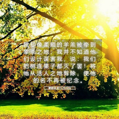 Picture 05 - 耶 利 米 书 11:19 CUVS - 我 却 像 柔 顺 的 羊 羔 被 牵 到 宰 - Bible Verse Picture