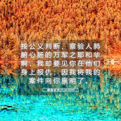 Picture 05 - 耶 利 米 书 11:20 CUVS - 按 公 义 判 断 、 察 验 人 肺 腑 心 - Bible Verse Picture