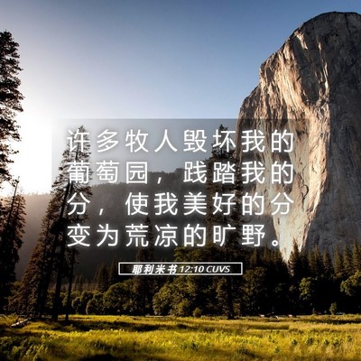 Picture 05 - 耶 利 米 书 12:10 CUVS - 许 多 牧 人 毁 坏 我 的 葡 萄 园 ， - Bible Verse Picture