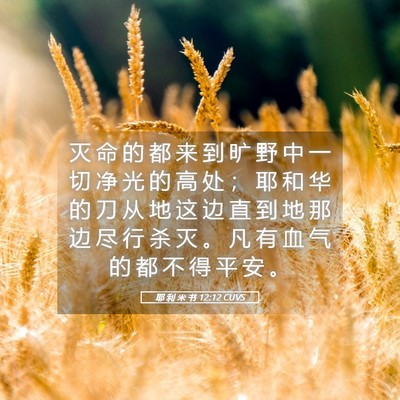 Picture 05 - 耶 利 米 书 12:12 CUVS - 灭 命 的 都 来 到 旷 野 中 一 切 净 - Bible Verse Picture