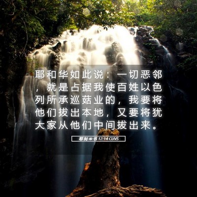 Picture 05 - 耶 利 米 书 12:14 CUVS - 耶 和 华 如 此 说 ： 一 切 恶 邻 ， - Bible Verse Picture