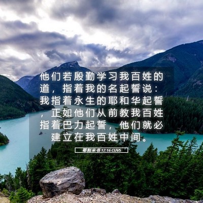 Picture 05 - 耶 利 米 书 12:16 CUVS - 他 们 若 殷 勤 学 习 我 百 姓 的 道 - Bible Verse Picture