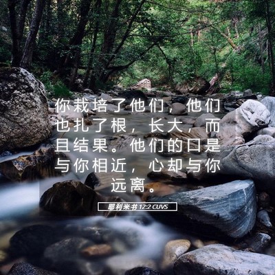 Picture 05 - 耶 利 米 书 12:2 CUVS - 你 栽 培 了 他 们 ， 他 们 也 扎 了 - Bible Verse Picture