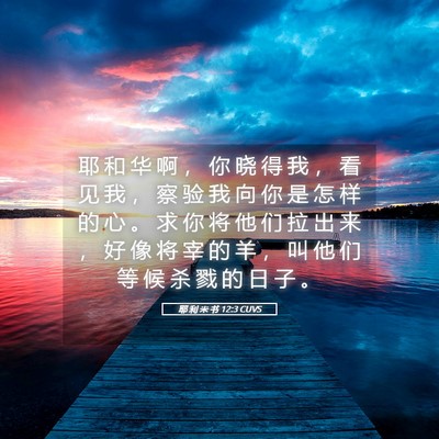 Picture 05 - 耶 利 米 书 12:3 CUVS - 耶 和 华 啊 ， 你 晓 得 我 ， 看 见 - Bible Verse Picture