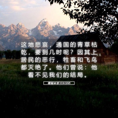 Picture 05 - 耶 利 米 书 12:4 CUVS - 这 地 悲 哀 ， 通 国 的 青 草 枯 乾 - Bible Verse Picture