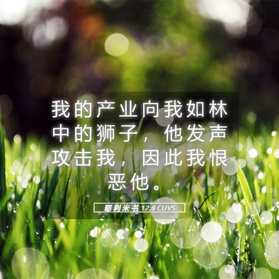 Picture 05 - 耶 利 米 书 12:8 CUVS - 我 的 产 业 向 我 如 林 中 的 狮 子 - Bible Verse Picture