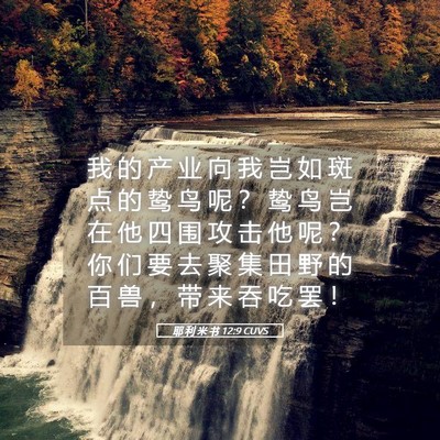 Picture 05 - 耶 利 米 书 12:9 CUVS - 我 的 产 业 向 我 岂 如 斑 点 的 鸷 - Bible Verse Picture