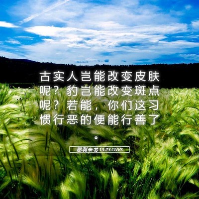 Picture 05 - 耶 利 米 书 13:23 CUVS - 古 实 人 岂 能 改 变 皮 肤 呢 ？ 豹 - Bible Verse Picture