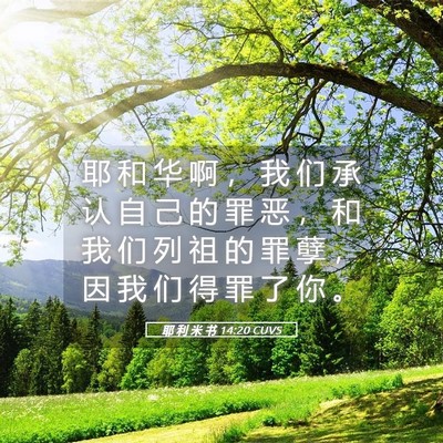 Picture 05 - 耶 利 米 书 14:20 CUVS - 耶 和 华 啊 ， 我 们 承 认 自 己 的 - Bible Verse Picture