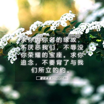 Picture 05 - 耶 利 米 书 14:21 CUVS - 求 你 为 你 名 的 缘 故 ， 不 厌 恶 - Bible Verse Picture