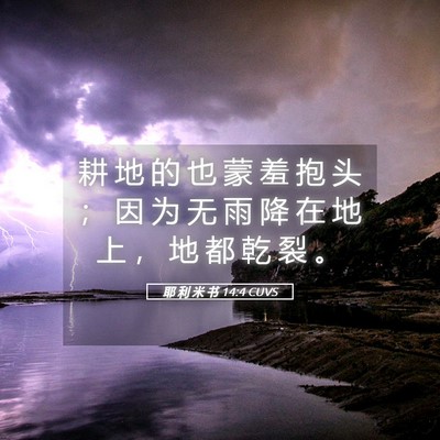 Picture 05 - 耶 利 米 书 14:4 CUVS - 耕 地 的 也 蒙 羞 抱 头 ； 因 为 无 - Bible Verse Picture