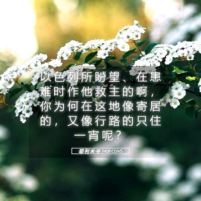 Picture 05 - 耶 利 米 书 14:8 CUVS - 以 色 列 所 盼 望 、 在 患 难 时 作 - Bible Verse Picture