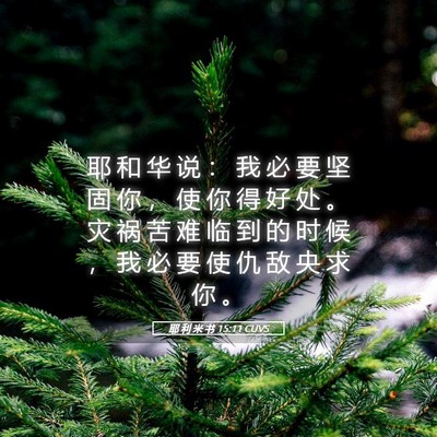 Picture 05 - 耶 利 米 书 15:11 CUVS - 耶 和 华 说 ： 我 必 要 坚 固 你 ， - Bible Verse Picture