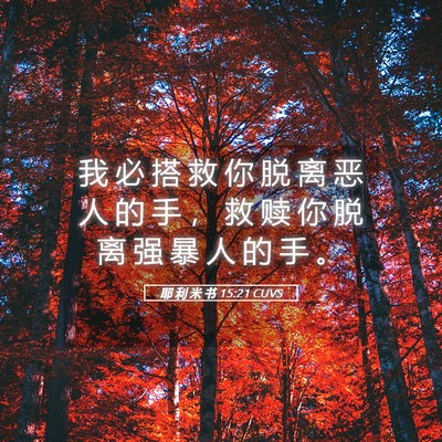 Picture 05 - 耶 利 米 书 15:21 CUVS - 我 必 搭 救 你 脱 离 恶 人 的 手 ， - Bible Verse Picture