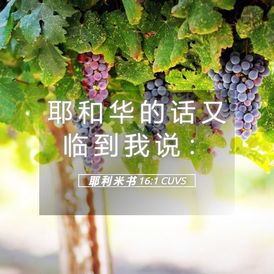 Picture 05 - 耶 利 米 书 16:1 CUVS - 耶 和 华 的 话 又 临 到 我 说 - Bible Verse Picture