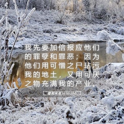Picture 05 - 耶 利 米 书 16:18 CUVS - 我 先 要 加 倍 报 应 他 们 的 罪 孽 - Bible Verse Picture