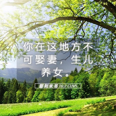 Picture 05 - 耶 利 米 书 16:2 CUVS - 你 在 这 地 方 不 可 娶 妻 ， 生 儿 - Bible Verse Picture