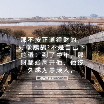 Picture 05 - 耶 利 米 书 17:11 CUVS - 那 不 按 正 道 得 财 的 ， 好 像 鹧 - Bible Verse Picture