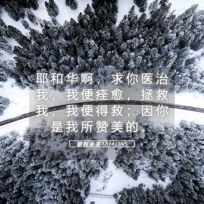 Picture 05 - 耶 利 米 书 17:14 CUVS - 耶 和 华 啊 ， 求 你 医 治 我 ， 我 - Bible Verse Picture