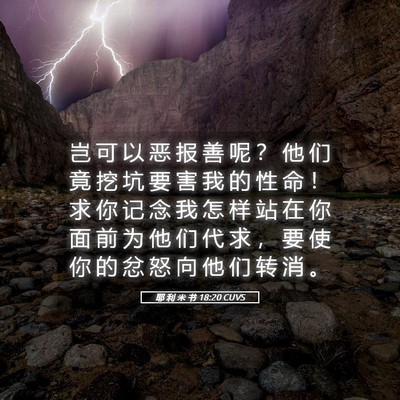 Picture 05 - 耶 利 米 书 18:20 CUVS - 岂 可 以 恶 报 善 呢 ？ 他 们 竟 挖 - Bible Verse Picture