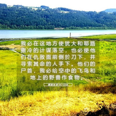 Picture 05 - 耶 利 米 书 19:7 CUVS - 我 必 在 这 地 方 使 犹 大 和 耶 路 - Bible Verse Picture
